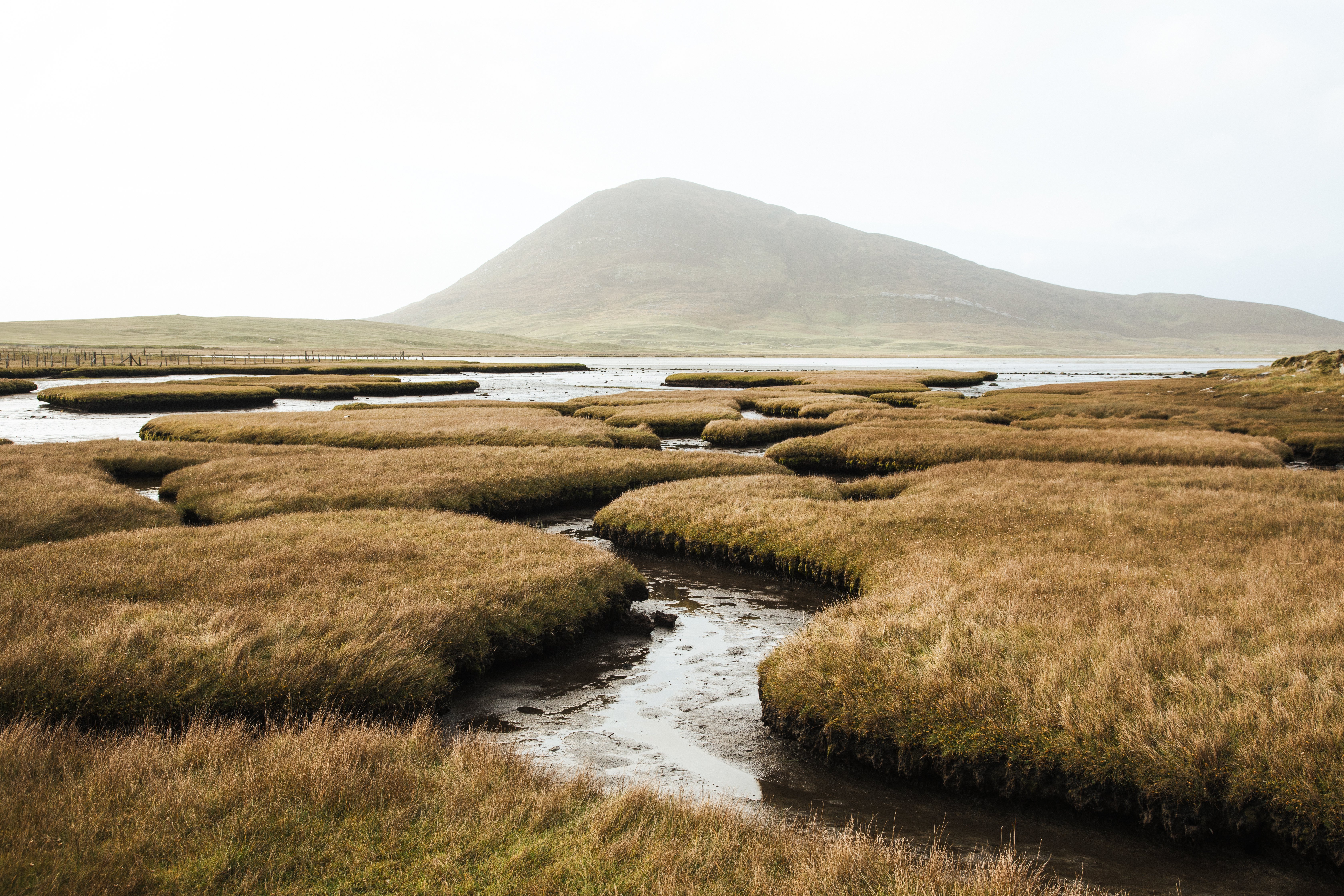 Inch marshes. Болота Шотландии. Марш в ландшафте. Горы Урала фото. Marshes.